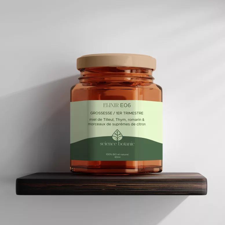 Elixir E06 - 1er Trimestre