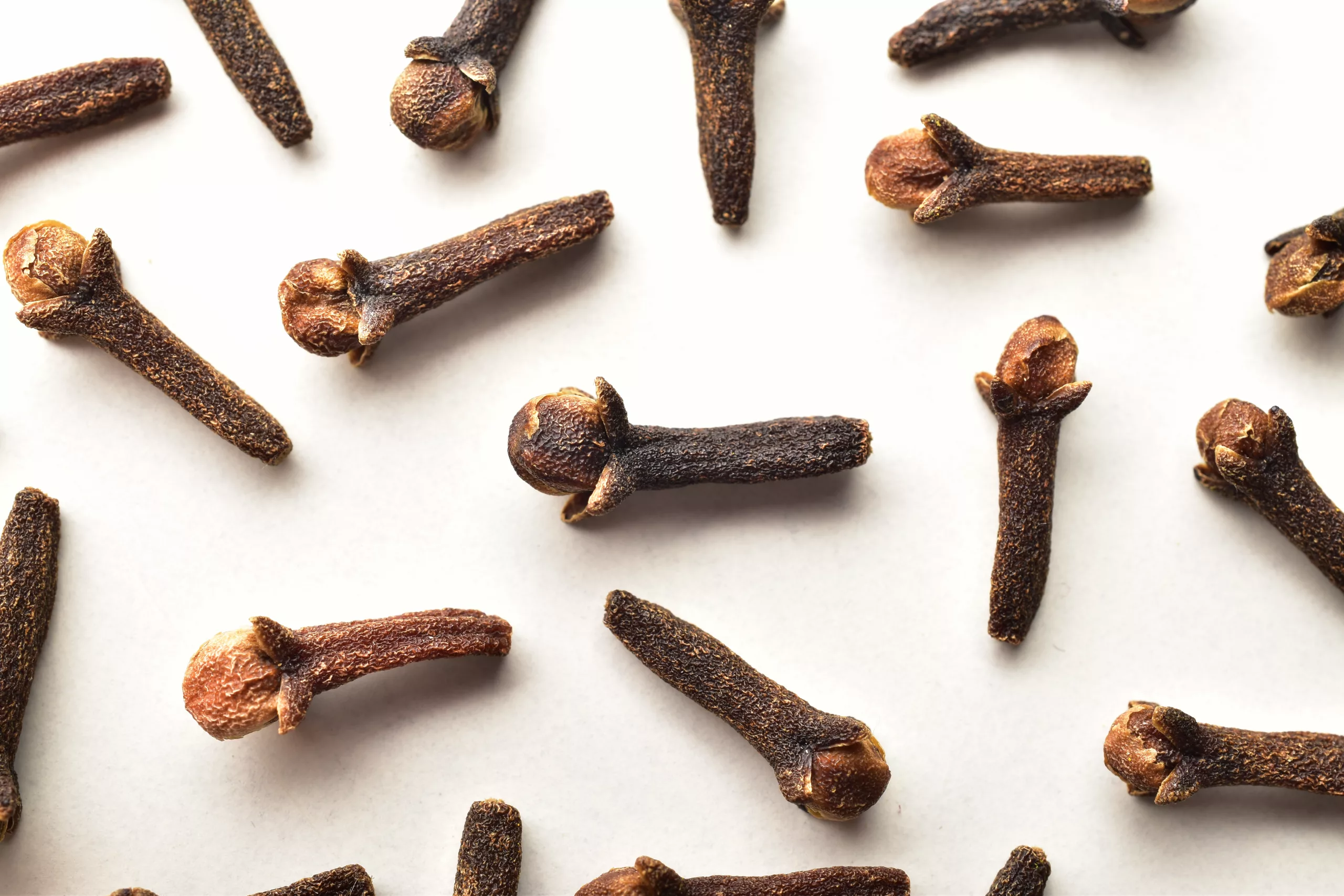 Macro image of cloves isolated on white background, close up of dry clove