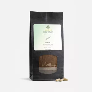 boost B03 - Fatigue intense